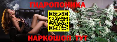 трава Кингисепп
