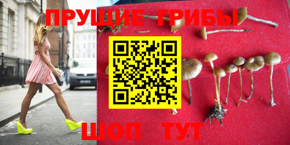 Галлюциногенные грибы Psilocybine cubensis Кумертау